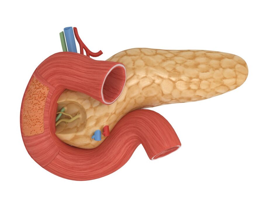 buena sensibilidad a la insulina pancreática después de tomar Glucoren