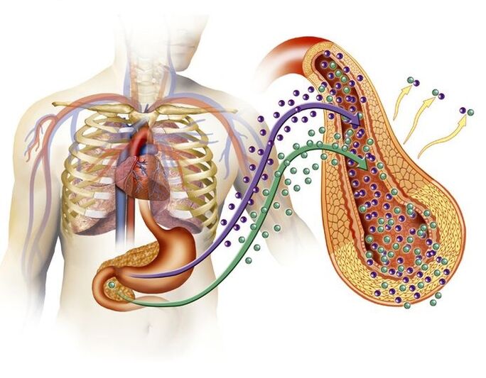 producción normal de insulina después de tomar Glucoren