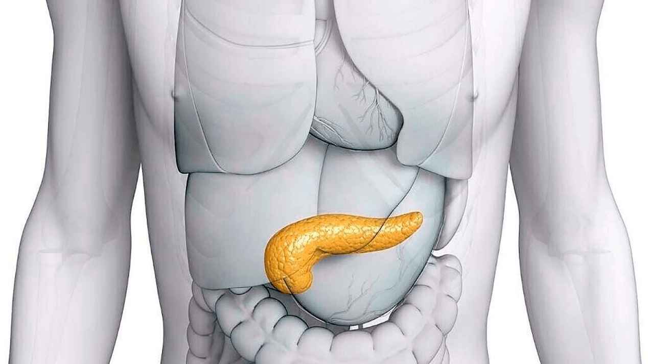 páncreas sano después de tomar Glucoren